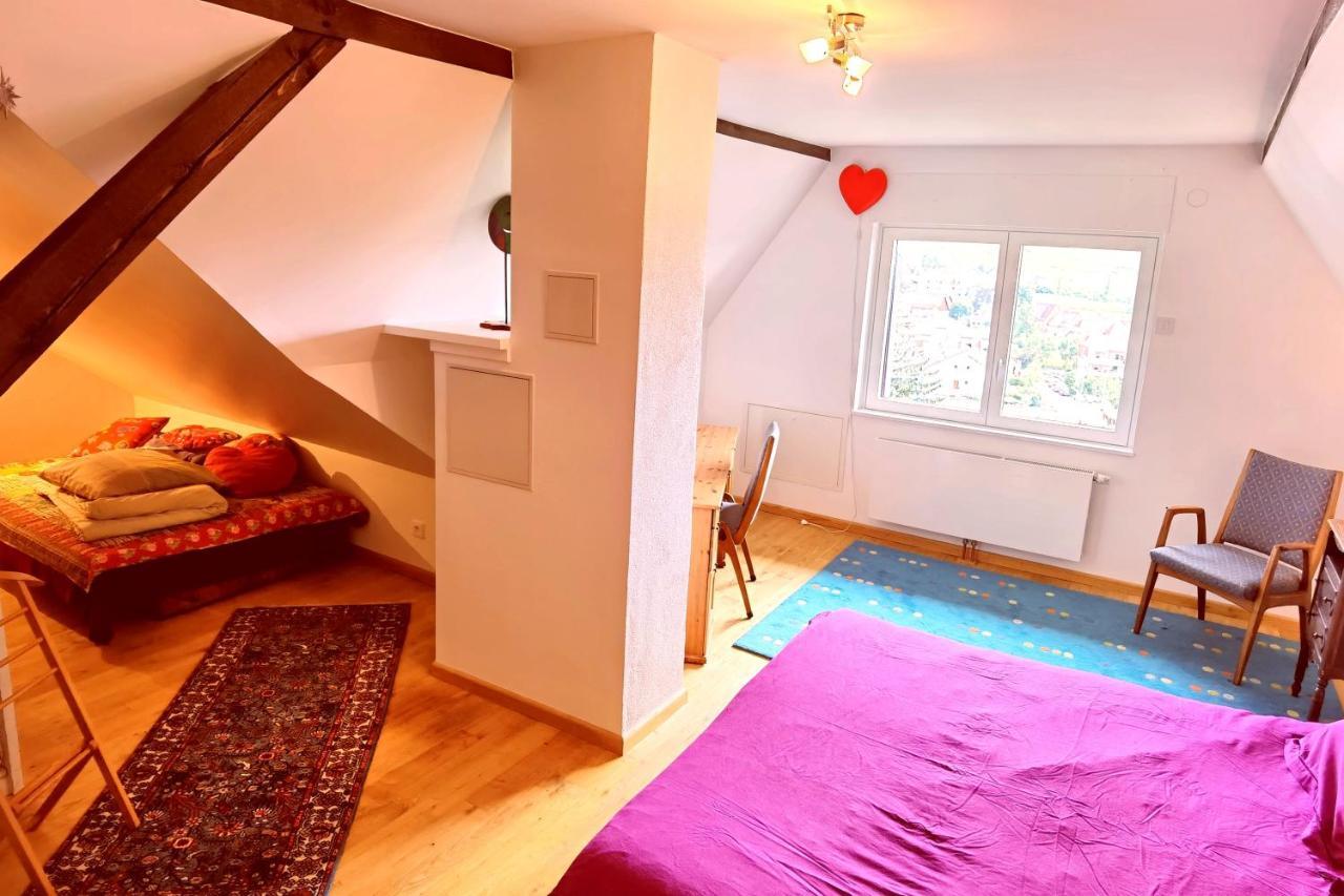 Chez Aude Appartamento Andlau-au-Val Esterno foto